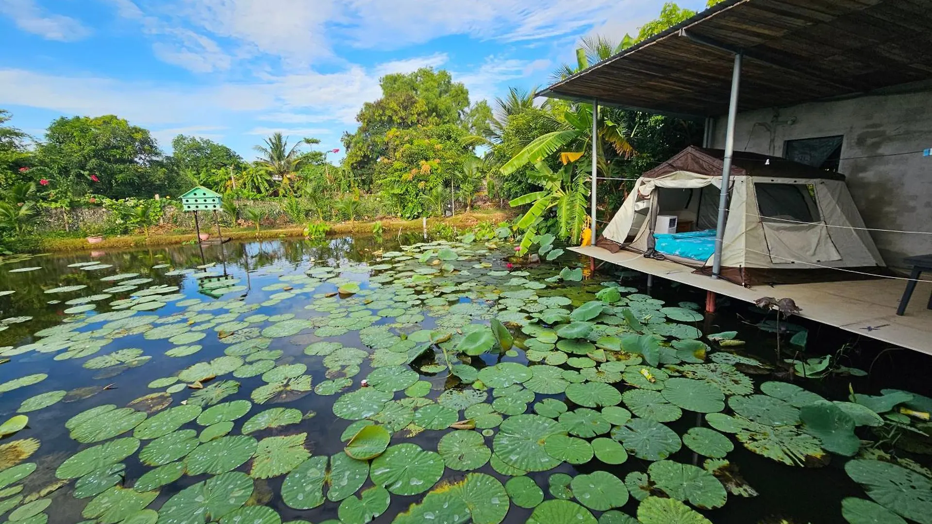 Nha Tren Ho Tai Homestay Sen & Zen Villa