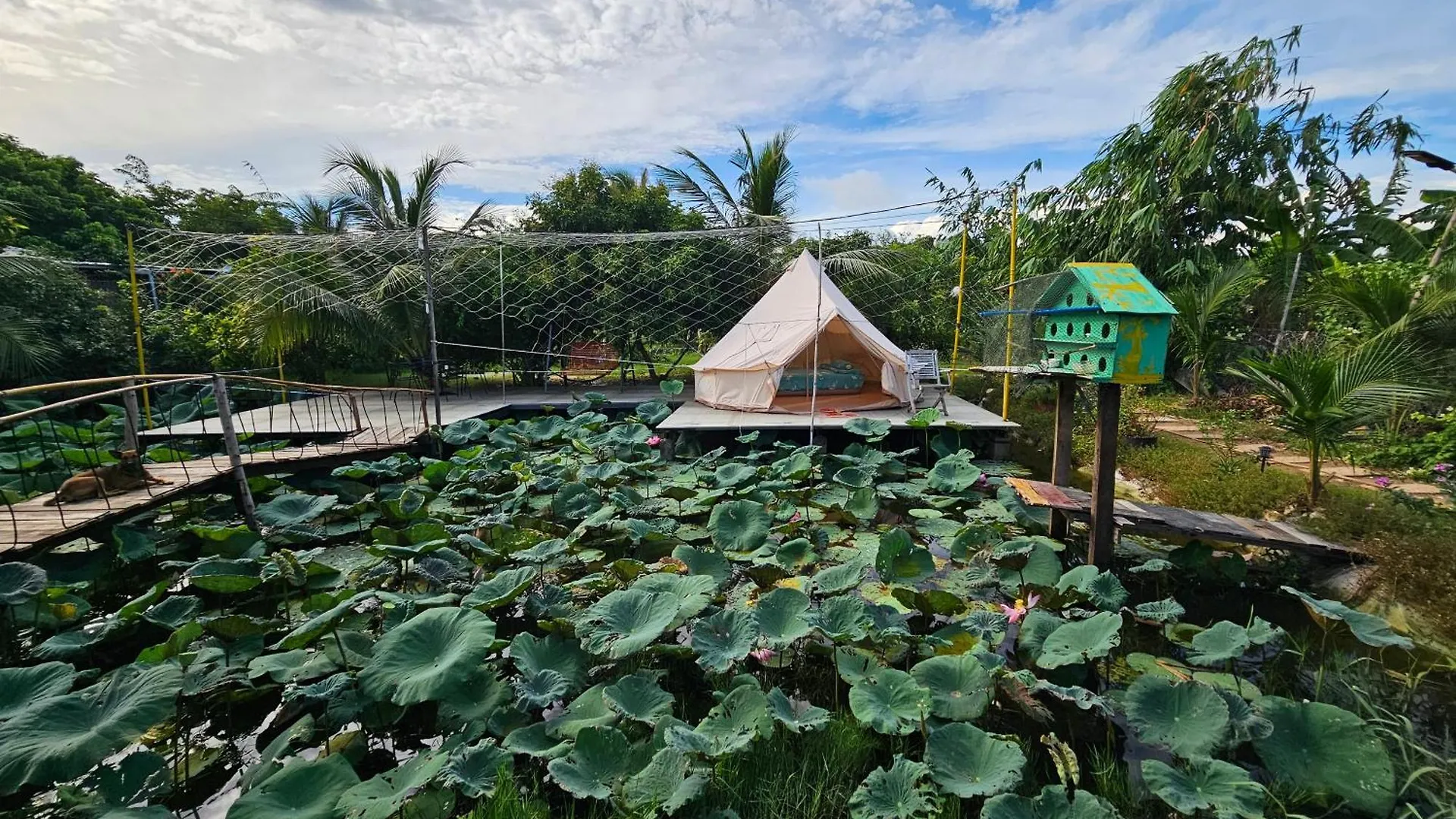 Nha Tren Ho Tai Homestay Sen & Zen Villa 0*, Vung Tau Vietnam