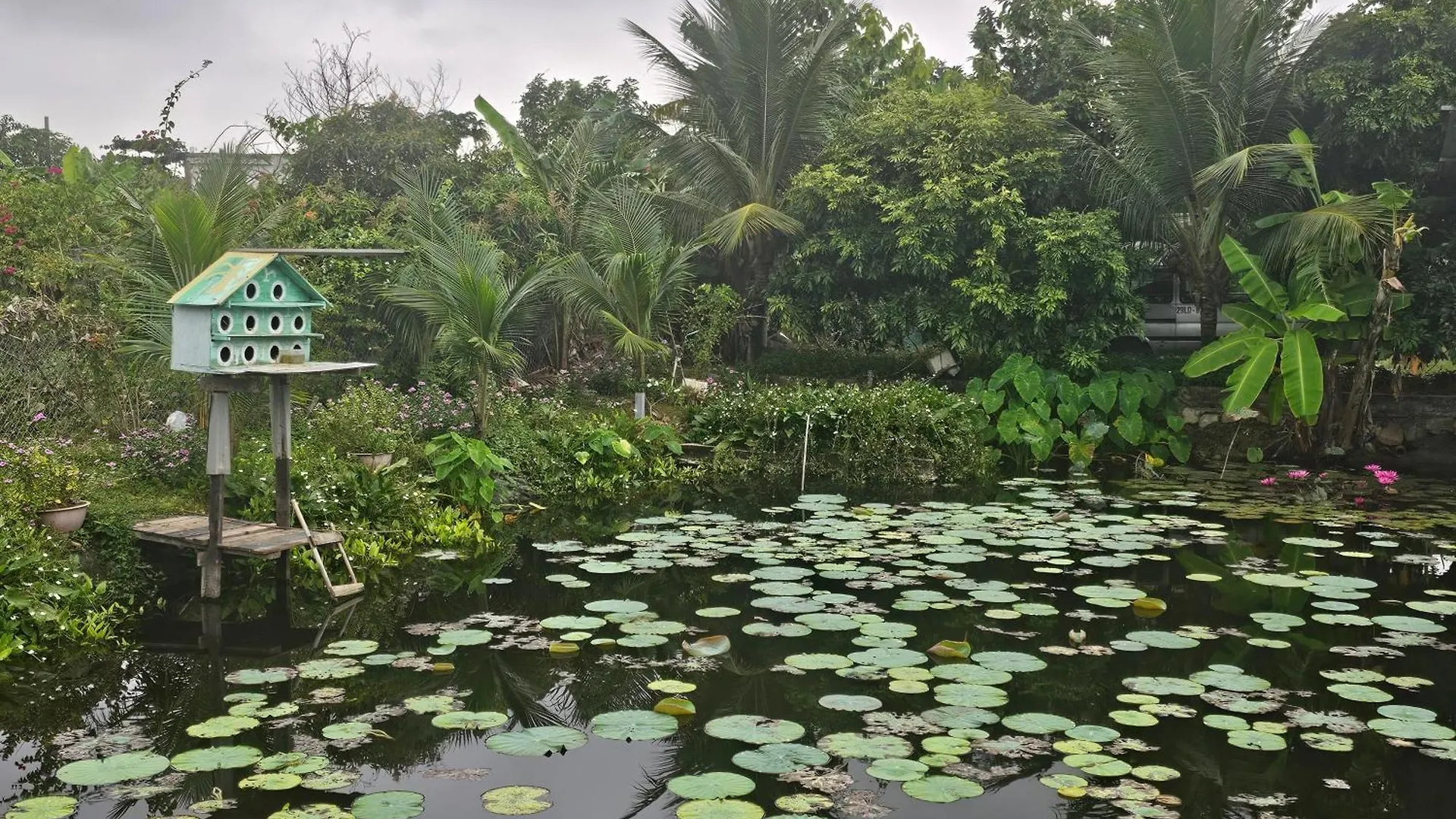 Nha Tren Ho Tai Homestay Sen & Zen Villa