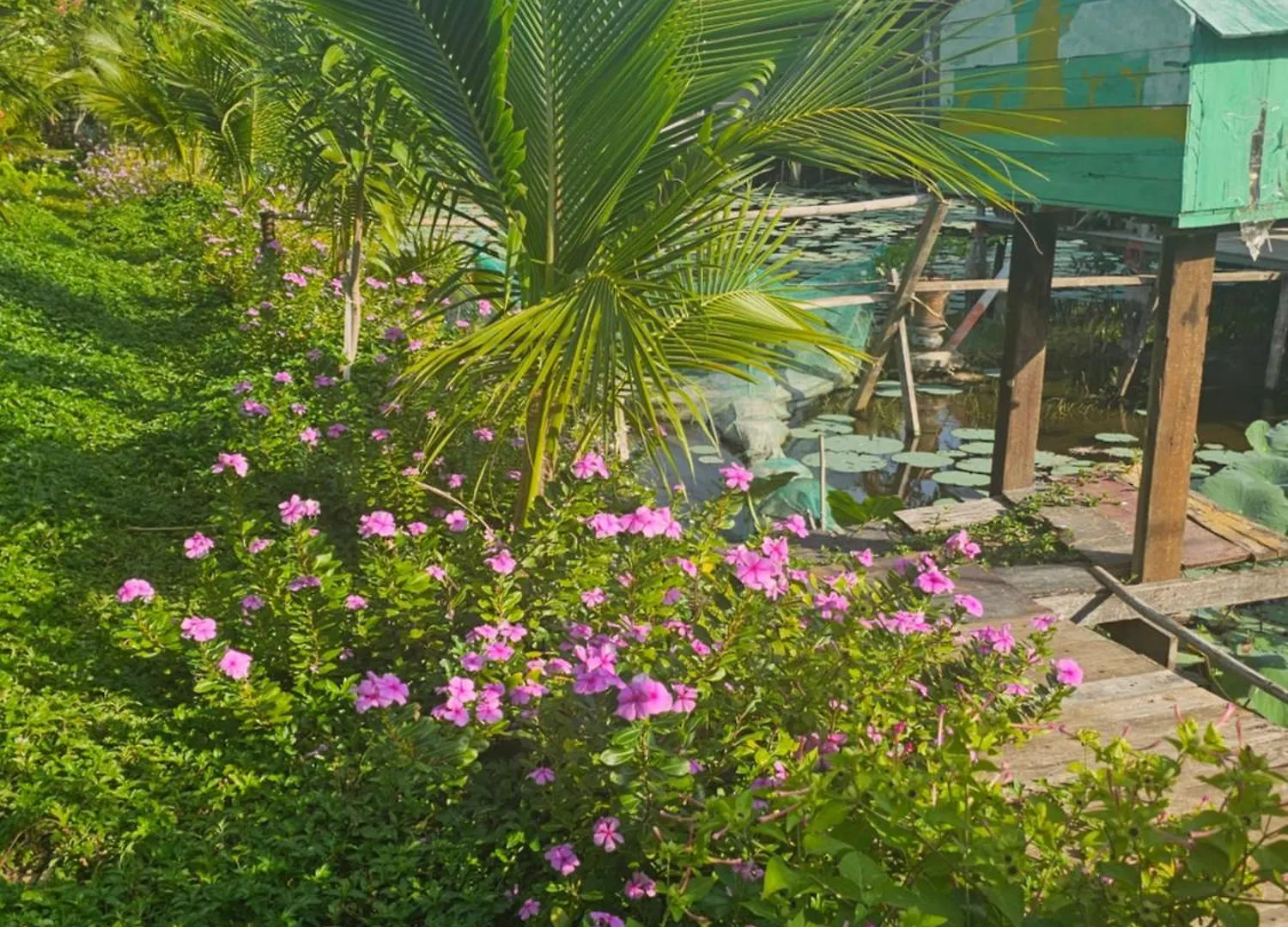 Nha Tren Ho Tai Homestay Sen & Zen Villa