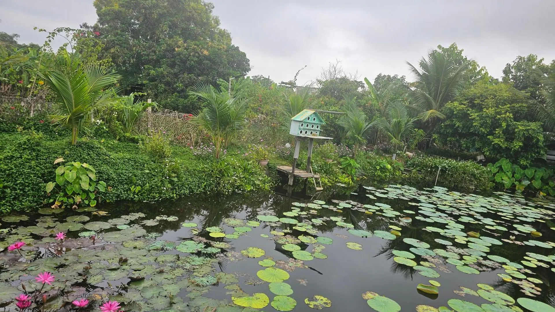 Luxury tent Nha Tren Ho Tai Homestay Sen & Zen Villa