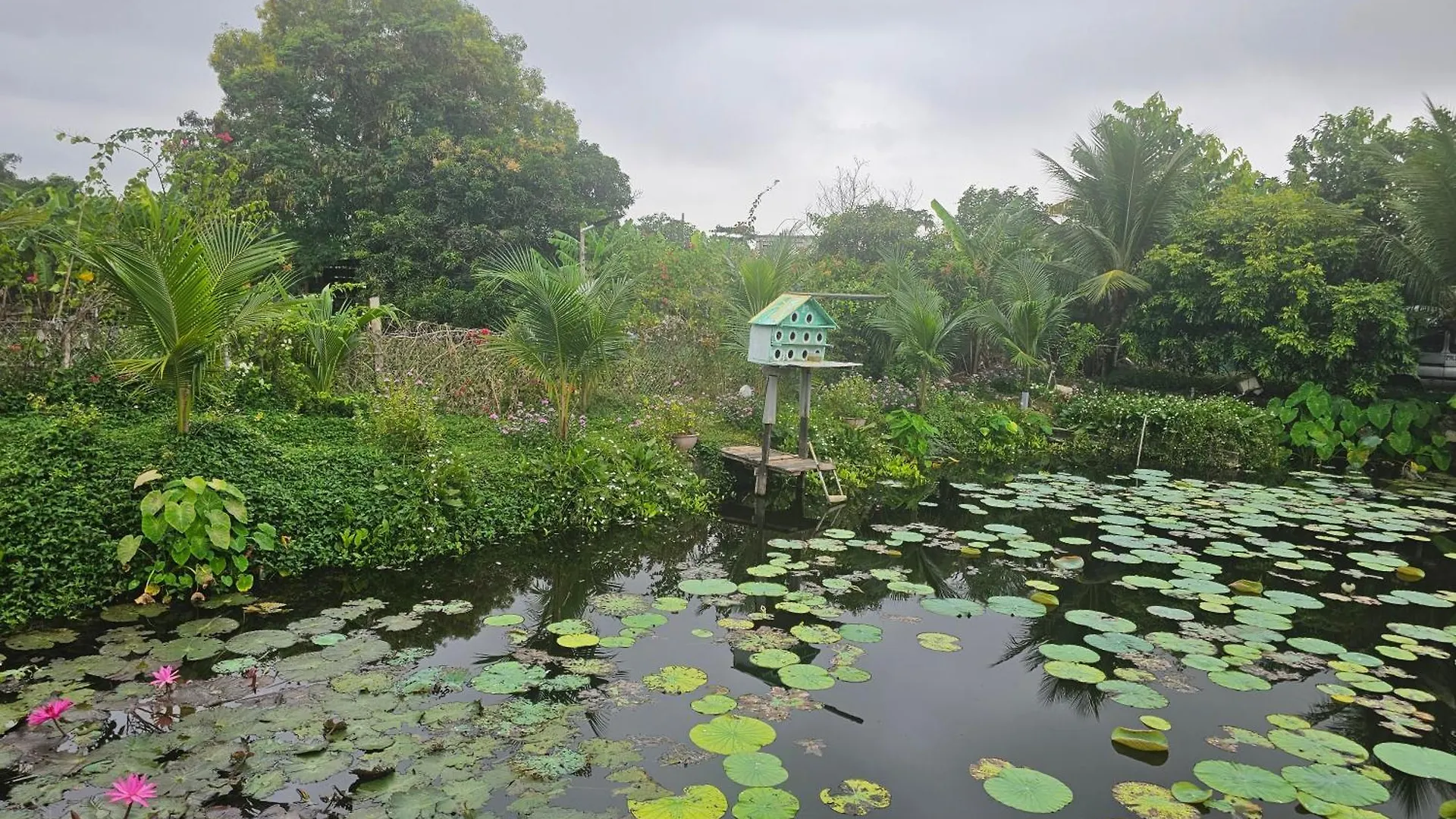 Nha Tren Ho Tai Homestay Sen & Zen Villa Luxury tent