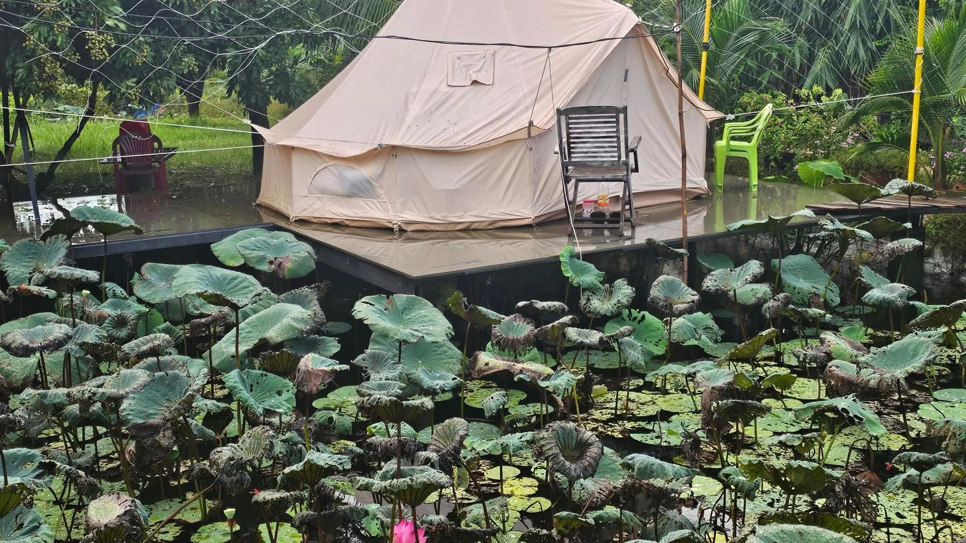 Nha Tren Ho Tai Homestay Sen & Zen Villa