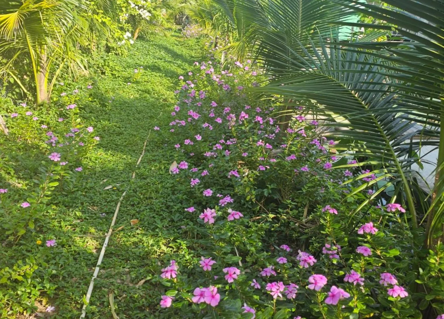 Nha Tren Ho Tai Homestay Sen & Zen Villa Luxury tent Vung Tau