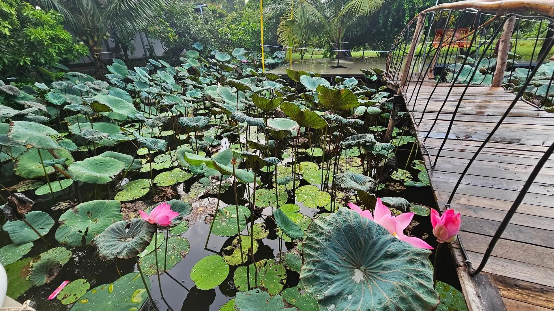 Luxury tent Nha Tren Ho Tai Homestay Sen & Zen Villa Vietnam