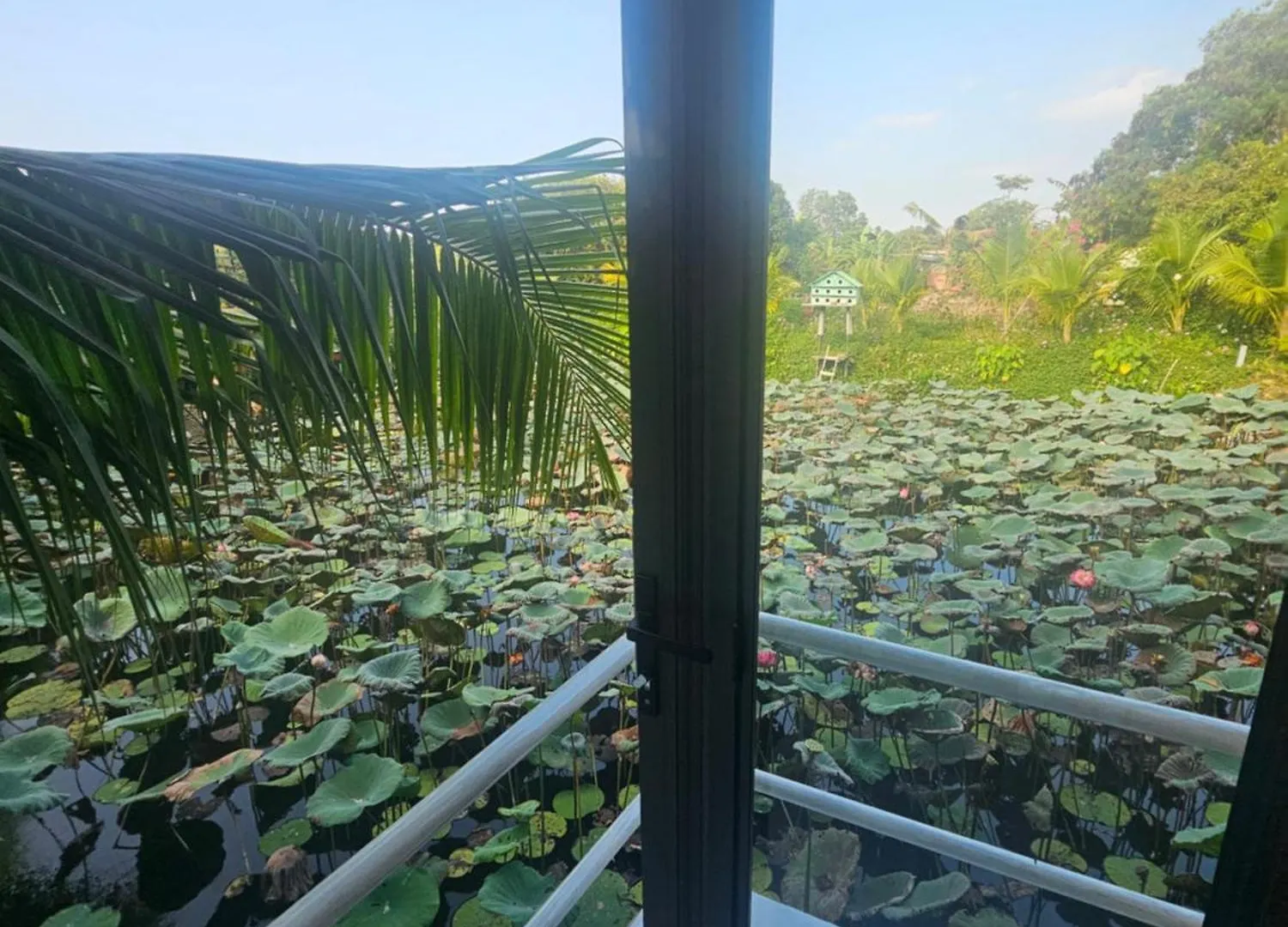 Nha Tren Ho Tai Homestay Sen & Zen Villa