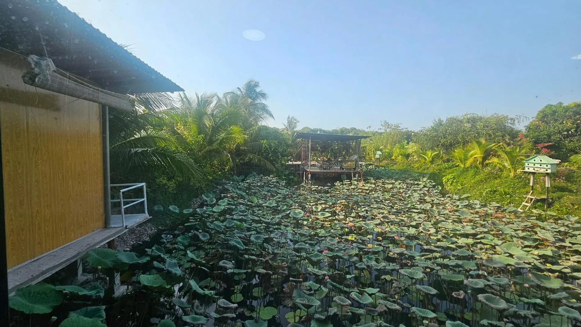 Nha Tren Ho Tai Homestay Sen & Zen Villa 0*, Vung Tau