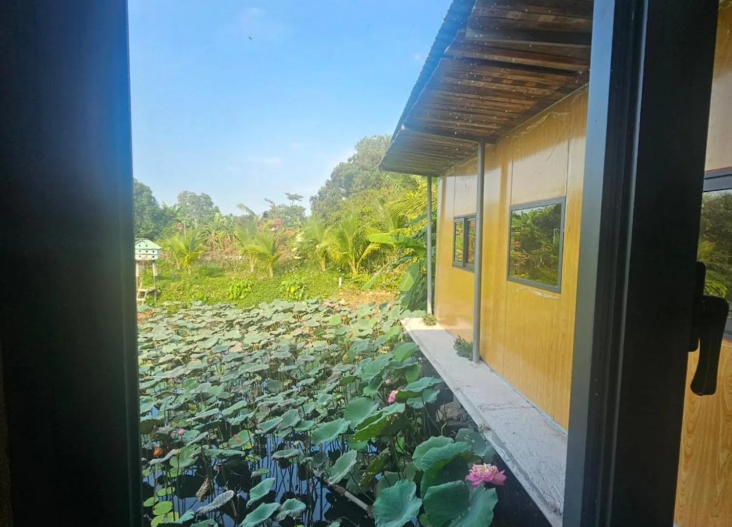 Nha Tren Ho Tai Homestay Sen & Zen Villa Vung Tau