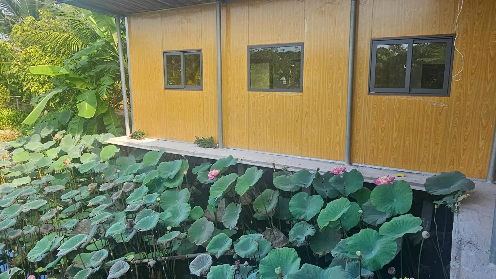 Nha Tren Ho Tai Homestay Sen & Zen Villa Vung Tau